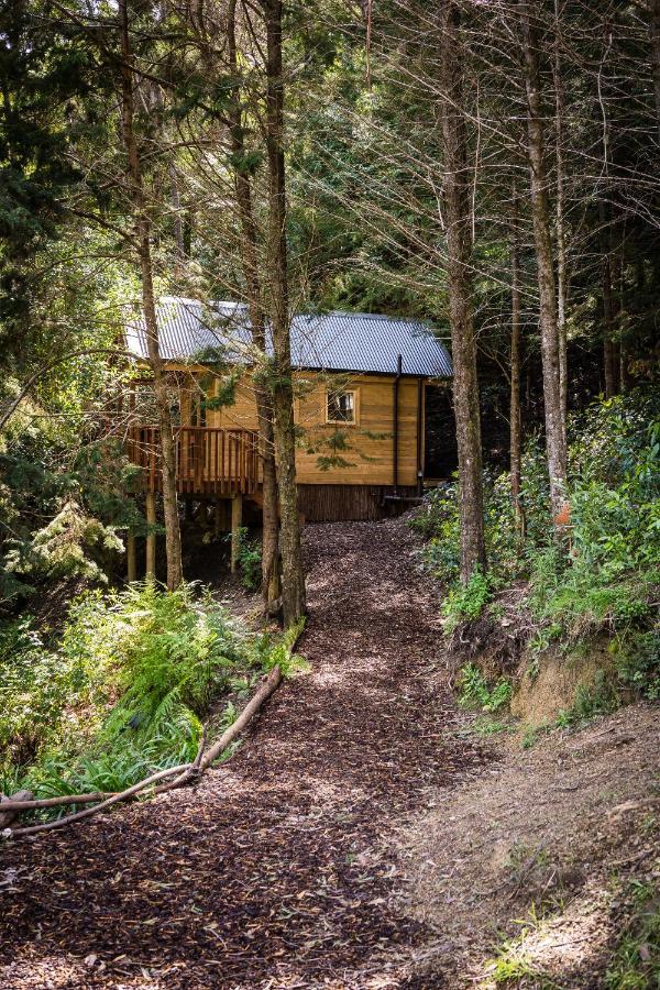 Maitai Whare Iti - Adventure Cabins & House Nelson Eksteriør billede