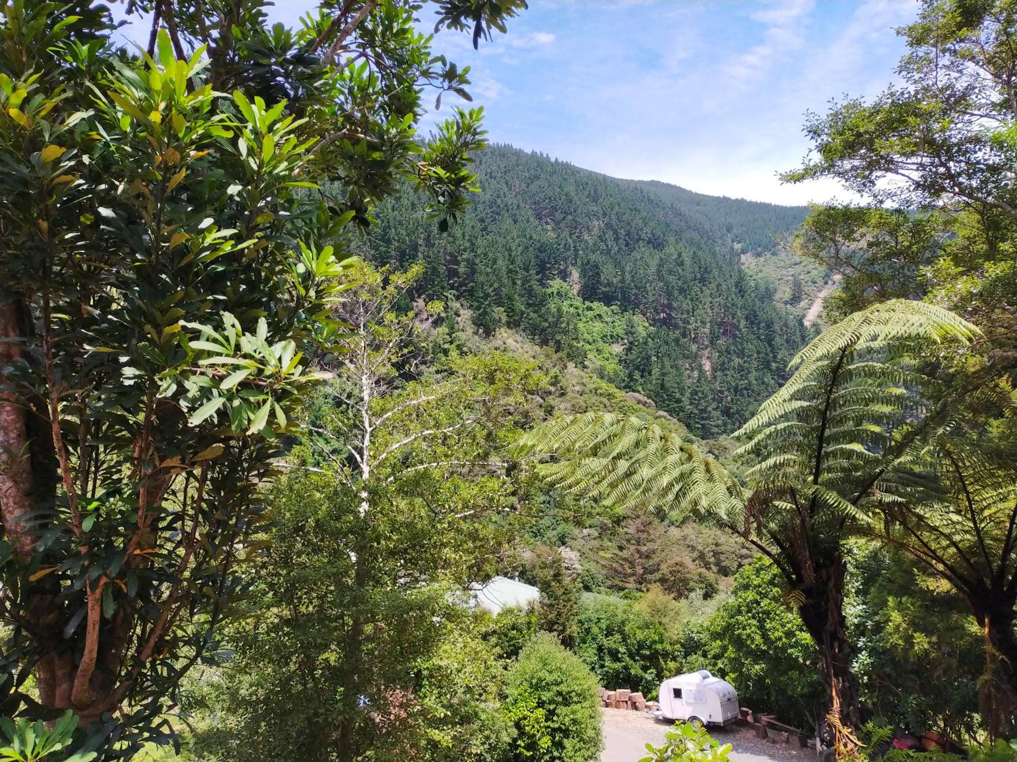 Maitai Whare Iti - Adventure Cabins & House Nelson Eksteriør billede